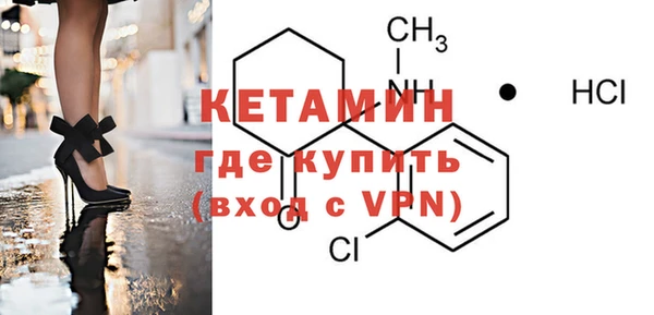 шишки Куровское