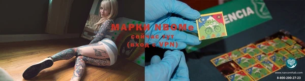 шишки Куровское