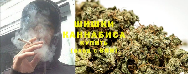 ПСИЛОЦИБИНОВЫЕ ГРИБЫ Саяногорск